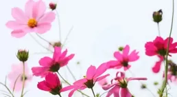 不必花的21種錢，不花就是省