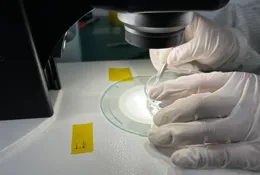 日本登月失敗：僅200公尺著陸，很多人不明白，為何中國這麽強？