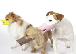 帶寵物出門自駕，有哪些東西是不能省錢必須買的？