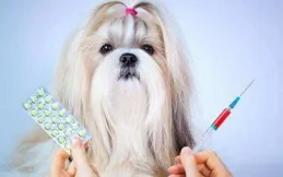 科前生物：寵物疫苗貓三聯和犬四聯已上市銷售並形成收入