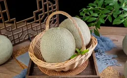 哈密瓜身上的的紋路居然是肥胖紋！第一次和水果共情了……