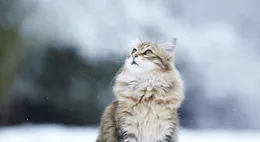 早安！周三愉快！新的一天，心懷暖意，保持熱愛，奔赴美好～