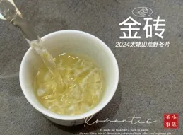 老茶客都點贊的臨期茶處理方法，記住這3點，再也不怕茶葉放壞了