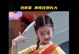 劉亦菲八歲時得過童模冠軍，網友：「從小美到大」