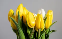 APP每周星座運程6.23-6.29