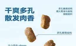 柯基便便軟怎麽辦？吃什麽狗糧好，解決犬只消化問題