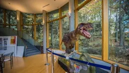 濟南市博物館開展「芒種童趣奇遇記——螳螂探索之旅」活動