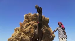 這個發現，成了壓垮駱駝的最後一根稻草，老板：我很羞愧