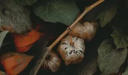 男人和你討要以下東西，多半不是真的愛你