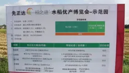 牧原股份：公司堅持自主育種20余年