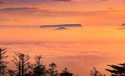 網友淚目：磕頭的那一刻，就知道自己有可能回不來了……