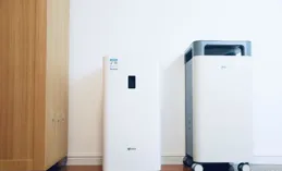 空氣凈化器可以緩解養貓過敏嗎？