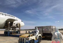 小狗拉稀時打疫苗？這些關鍵點你必須知道