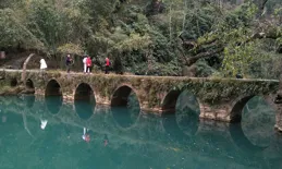 期待「積極股東」能對上市公司發揮積極作用