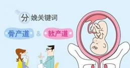 尿蛋白異常、腰痛反復？帶你讀懂間質性腎炎診斷標準