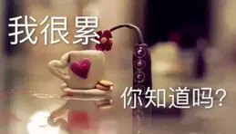 全網最火的情感語錄