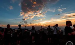 夏影（310） | 上遊主題攝影征稿作品展—— 徐輝作品