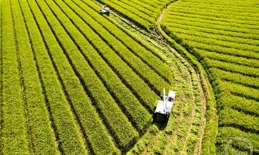 科技賦能種業振興 築牢農業發展 「芯片」 根基