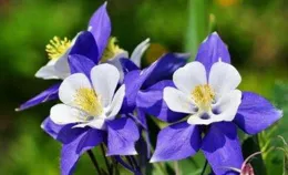 保護血管的8種行為15個點，你能做到幾個？