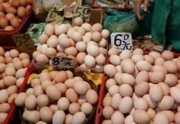 6月份內蒙古生豬、雞蛋價格小幅下降