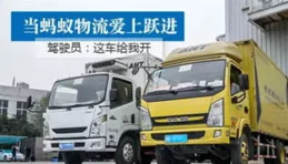 有手就行！輕卡飽腹燕麥碗，一口愛上的豐富口感