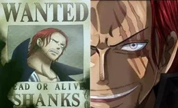 海賊王最新SBS情報，尾田公布羅傑團成員職務，新增多個職業