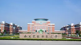桂林電子科技大學和桂林安維科技有限公司取得一種基於跨尺度圖對比學習的人體骨架動作辨識方法專利