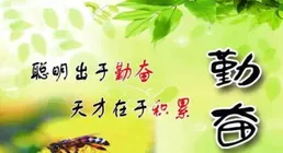 「2025.07.04」早安心語，正能量陽光超美麗語錄金句，治愈系圖片