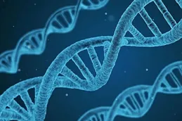 國際最新研究：古DNA為揭示早期埃及人遺傳多樣性提供新線索