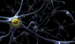 斯貝達電子取得基於脈沖神經元網路的快速傅立葉變換方法和系統專利