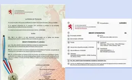 狄耐吉獲得發明專利授權：「一種可解釋性細粒度影像辨識方法、裝置、裝置及介質」