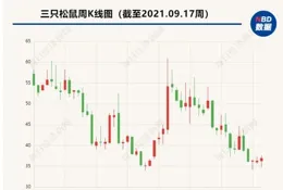 偉思醫療股價小幅回落 機構調研透露海外業務進展