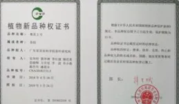 國電南瑞獲得發明專利授權：「一種DFIG轉子電阻不平衡故障診斷方法及系統」
