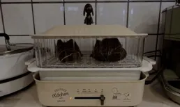 奉勸大家：再有錢，這5件小家電也不能買，妥妥的「智商稅」！