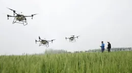 當好鄉村振興「領頭雁」