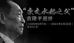 網易單機【萬民長歌：三國】被曝停止開發，6月剛登Steam新品節