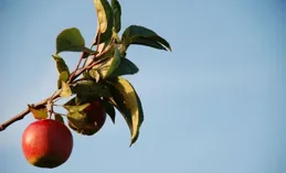 驚人的感情鐵律：你對一個人越好，對方越不知道珍惜你