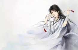 莊蘆隱不顧蔣襄意見重用藏海，不僅是愛才，還因不想看到男版沈宛