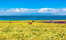 觸樂怪話：六七月之交