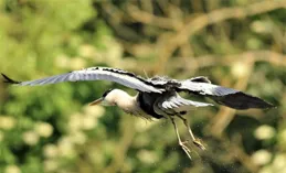 超高畫質落地、生態出海、價值深耕，白玉蘭論壇把脈影視產業升級路徑