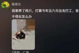 愛心冰箱折射的人性，有人貪婪有人無私，都是人為何差別如此大