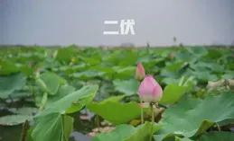 中醫：越熱越要養陽氣，夏至過後，多吃這3個食方，驅寒又暖身，把陽氣牢牢「補到位」