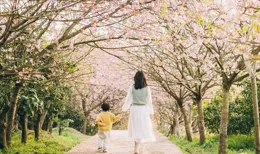 笑崩潰！小時候的密保問題最終防住了長大的自己，網友評論笑死