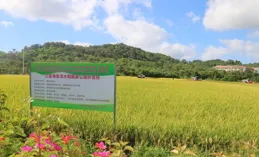 澤傑團隊大樂透2074期：黃金雙膽09+28！精選5組+復式攻略