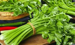 這幾道菜可以使勁吃，安穩過熱天