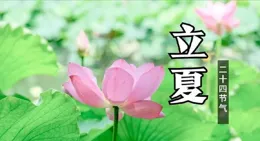 小暑後必吃這 3 樣！老祖宗的祛濕方火了，吃完渾身通透不黏糊