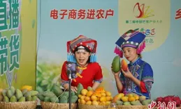 「90後」返鄉種檸檬，太香了！丨在雲南樣樣好