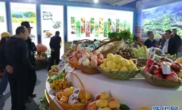 青海特色農產品出口再添「新成員」