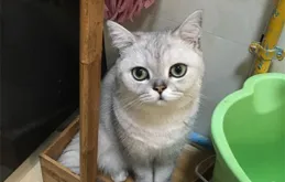 今日笑話:我的玩伴