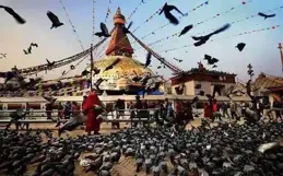 從1到11，看尼山論壇的蝶變